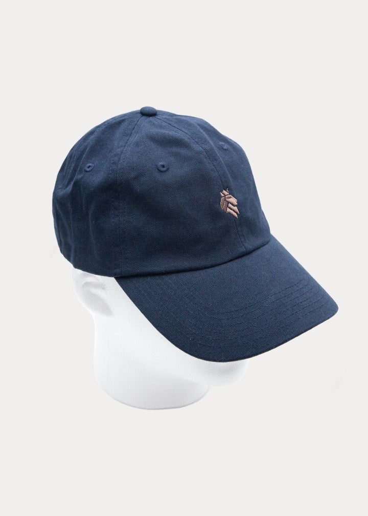 Royalgami Navy & Beige Cap